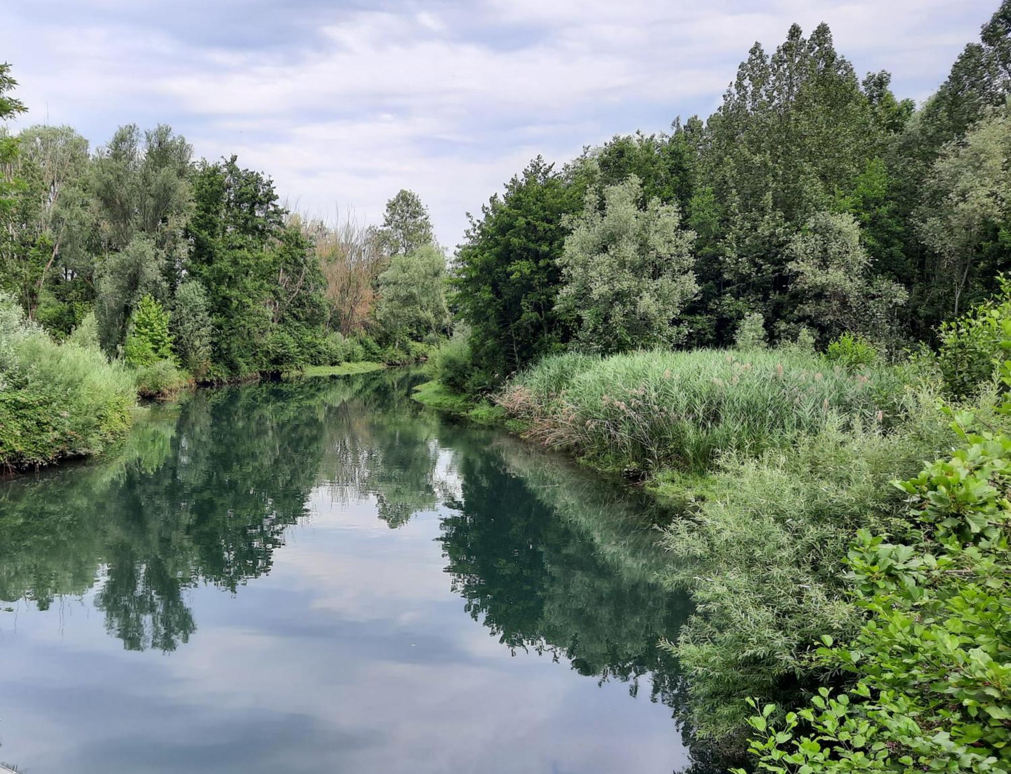 Siore Marie Gli Alloggi San Giórgio di Nogaro Exteriér fotografie